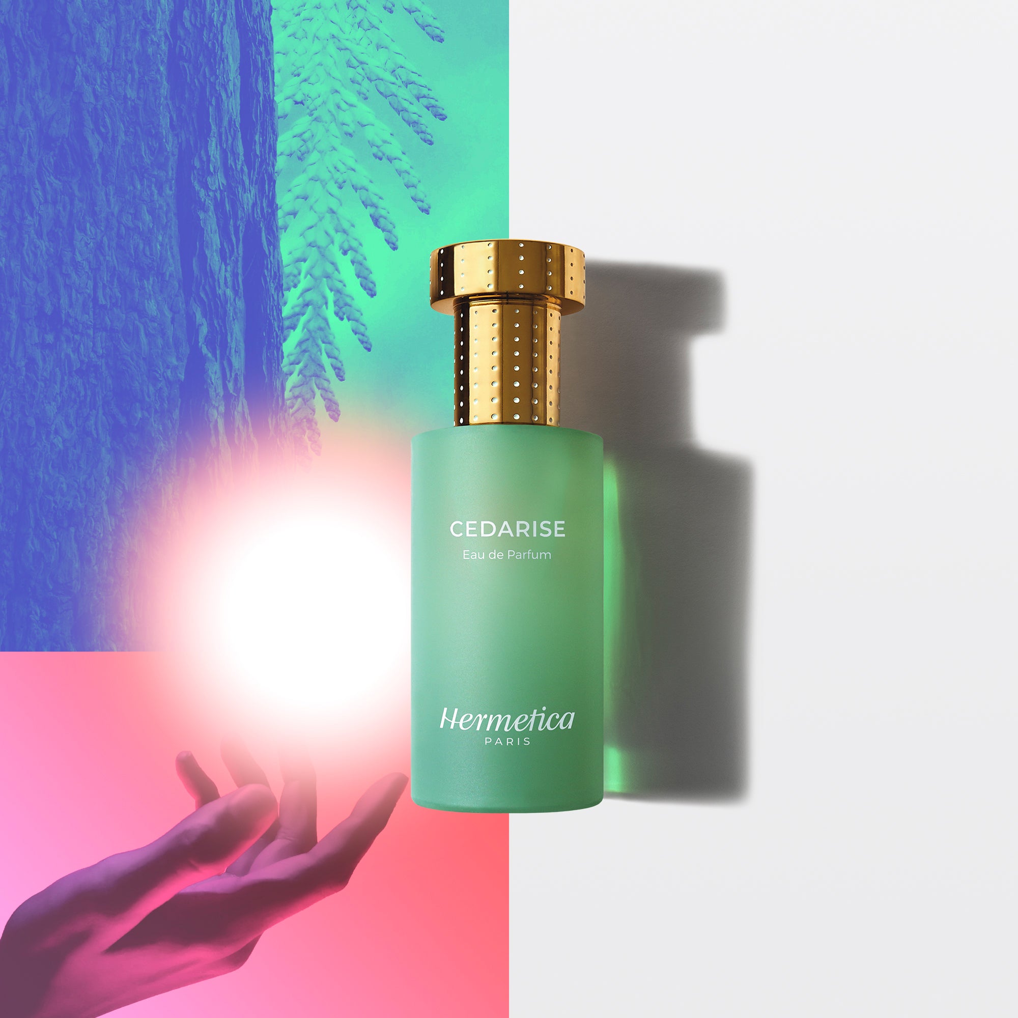 シダライズ オーデパルファム 　50mL