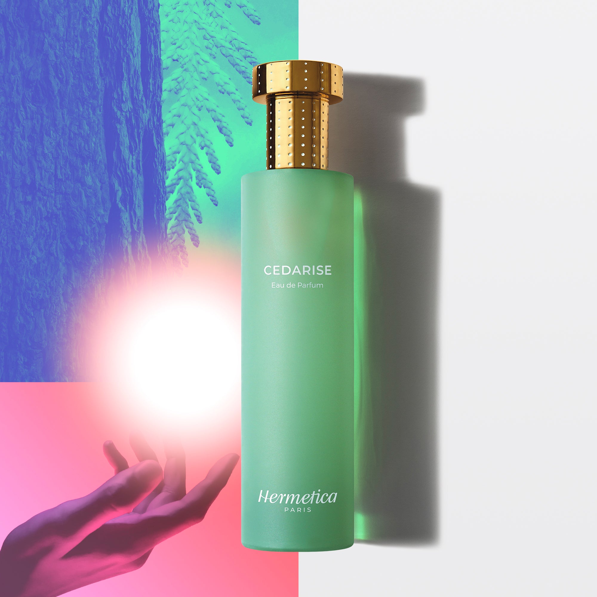 シダライズ オーデパルファム 　100mL