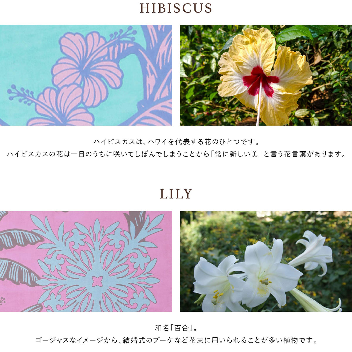 ガーゼケット オルオルシリーズ　バナナリーフ　イエロー