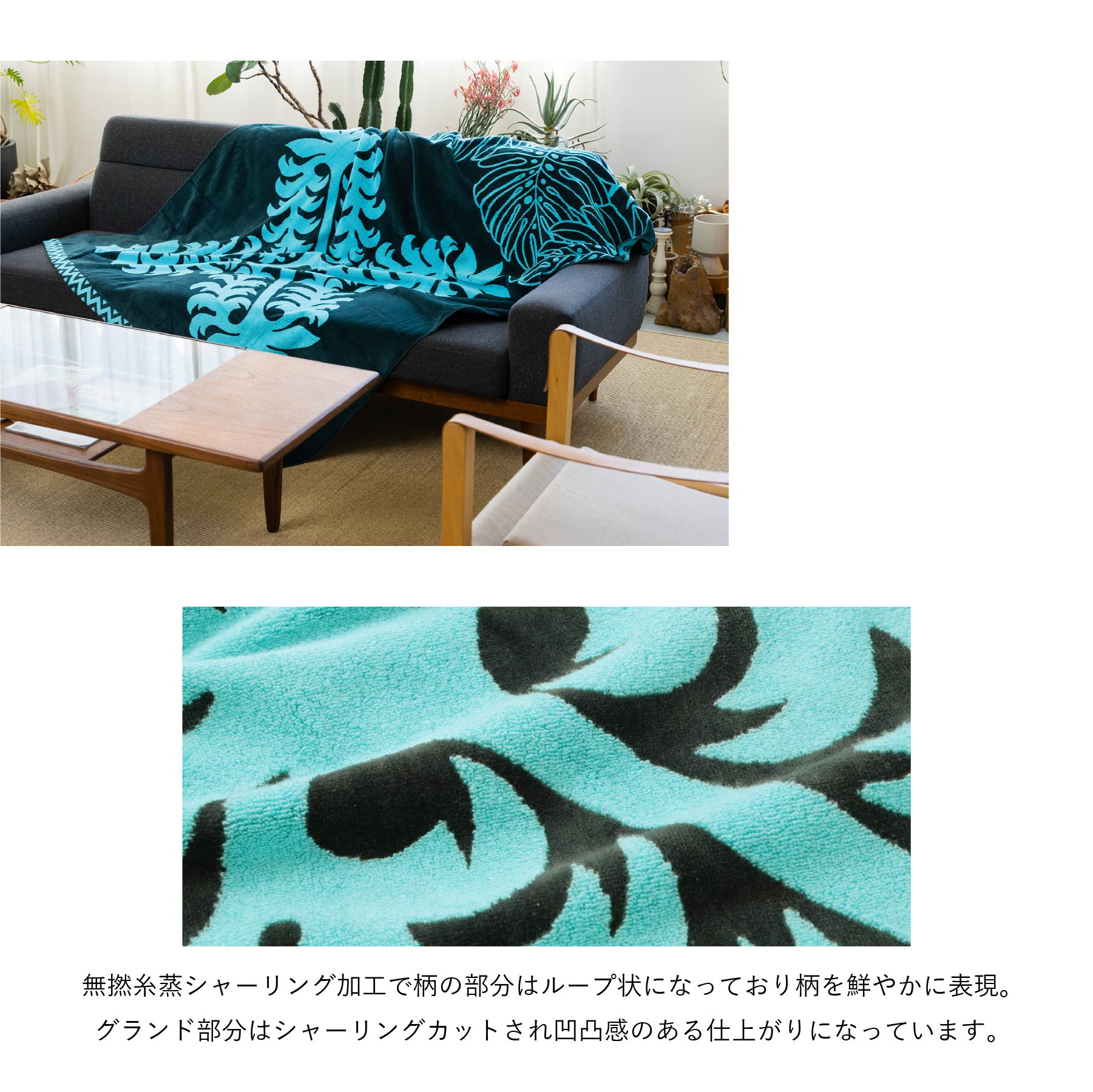 タオルケット ノヘアシリーズ  withモンステラ　ジェイドバイングリーン