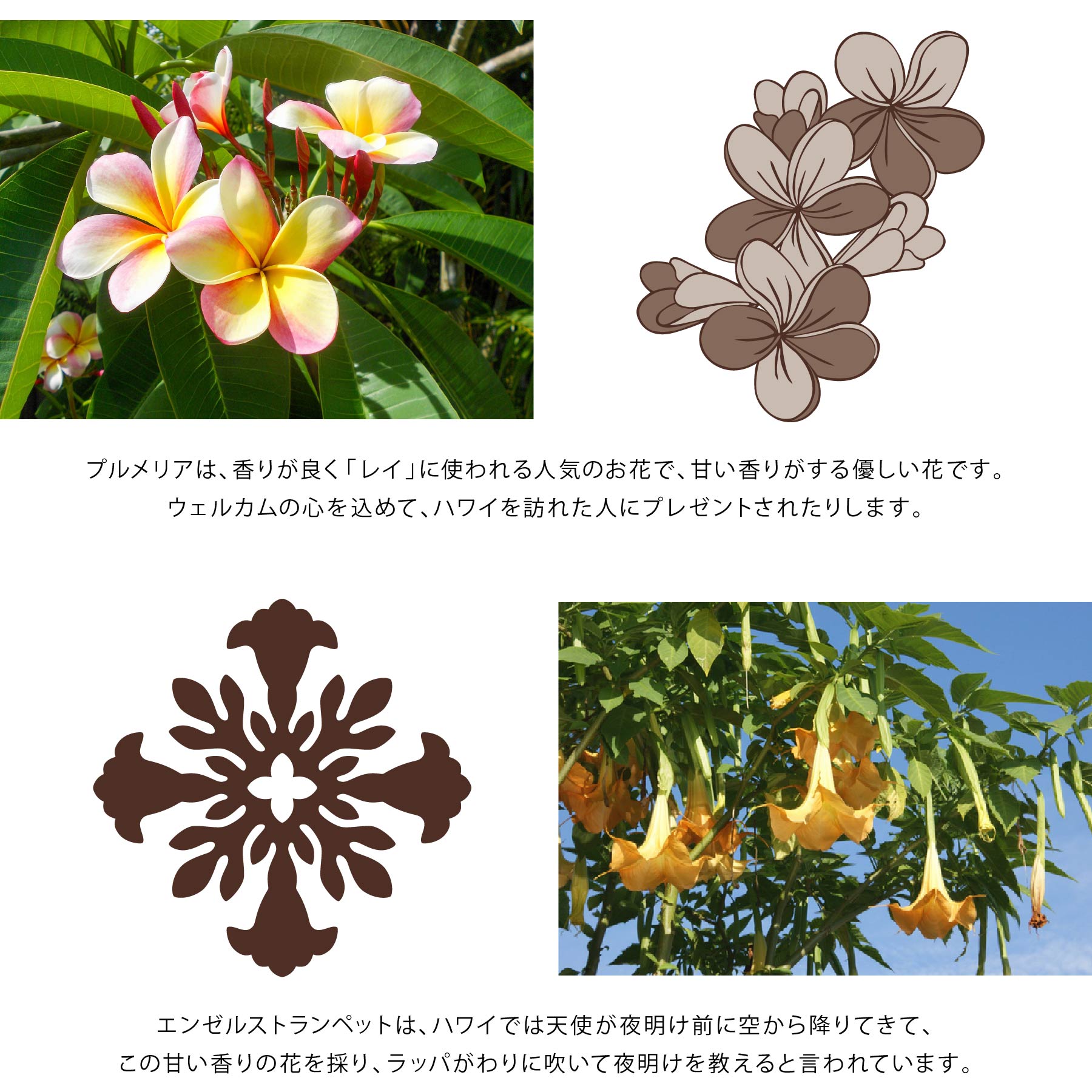 掛け布団カバー セミダブル ハワイアンキルト柄 （オハナシリーズ ）　 ベージュ